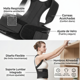 Corrector de Postura Premium
